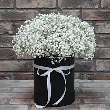 Цветочная композиция из Гипсофила в шляпной коробке #REPLACE_PRED# Досчатое