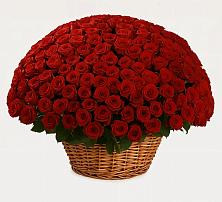 Премиум букет из: Розы в Досчатое